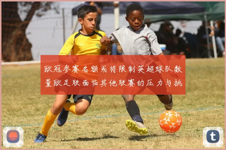 欧冠参赛名额或将限制英超球队数量欧足联面临其他联赛的压力与挑战