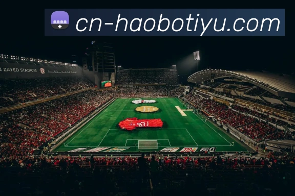 奖项证书